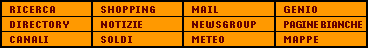 Le sezioni di Virgilio: cerca, canali, directory, genio, servizi e newsgroup